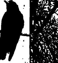 The Second Coming artwork